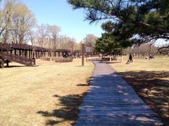 -蒲河岛湿地公园