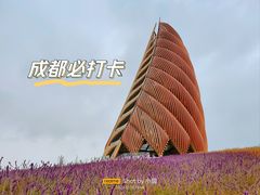 -成都大熊猫繁育研究基地