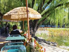 -三忘湖 SWANSEEN(柳荫公园店)