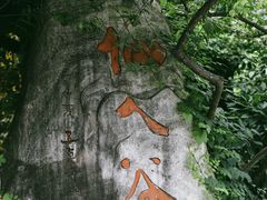 -杭州半山国家森林公园