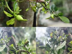 -北京植物园-展览温室