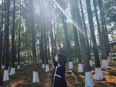-李时珍纪念馆