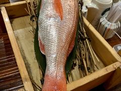 -矶野水产(澳门逸园中心店)