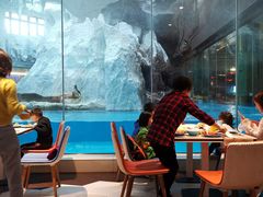 自助餐厅-帝企鹅自助餐厅•儿童岛•真企鹅(长隆企鹅酒店)