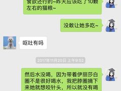 -瑞鹏宠物医院·宠保定点·心脏科·内科(御桥分院)