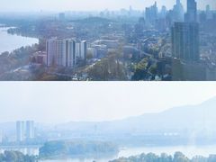 -湖景知味西餐厅•自助餐• 轻食(南京金茂威斯汀大酒店)