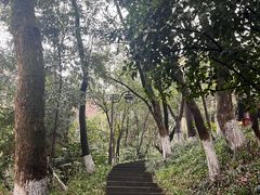 -杭州半山国家森林公园