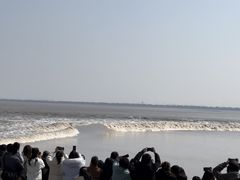-观潮胜地公园