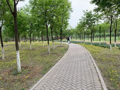 -东郊湿地公园