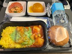 -新加坡航空公司(ION)