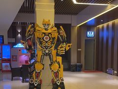 -华美国际影城(旧宫永辉店)