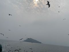 -海驴岛(荣成市)
