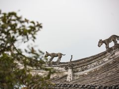 -都江堰景区