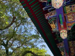 -宝莲禅寺