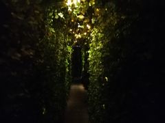 -顶层酒吧ROOF(上海艾迪逊酒店)