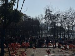 -武汉动物园