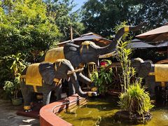 -品德宏·孔雀宴的发源地(金塔园店)