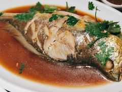 -前海沿·青岛菜(大拇指广场石老人店)