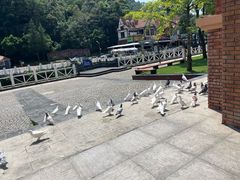 -花水湾第一村温泉大酒店