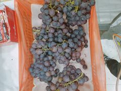 -鲜丰水果(合肥中环城店)
