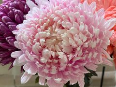 -BEAST野兽派(上海浦东嘉里城店)