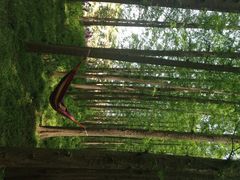 -南京金牛湖风景区