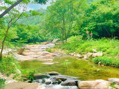 -武汉姚家山旅游景区
