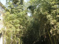 -迪士尼小镇