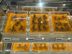 -盒马鲜生(富田新天地店)