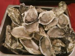 -德州凤冠假日酒店