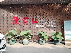 -陈家山荷花公园