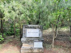 -府君山公园