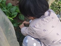 -前小桔亲子创意农场·草莓采摘·露营烧烤