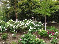 -江南大学(蠡湖校区)