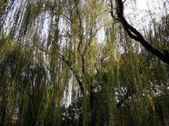 -莲湖公园