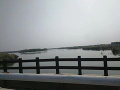 -西青郊野公园