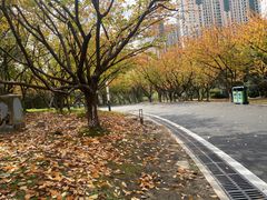 -苏州河梦清园环保主题公园