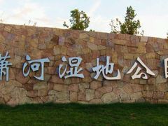 -潇河湿地公园