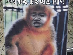 -武汉动物园
