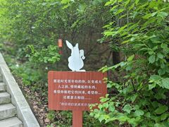 -长春净月潭风景名胜区