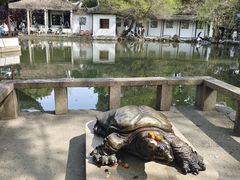 -西园戒幢律寺