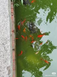 点击看大图 -莲生母婴月子中心(清水河公园店)