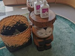 -飞行喵MR PILOT|猫舍·猫咖(静安大融城店)