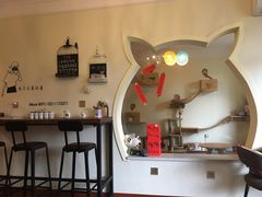 -Meowの猫咖(万家丽店)