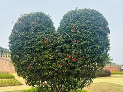 -东莞植物园
