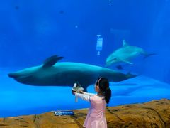 -华夏文旅海洋公园