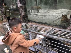 -贵州森林野生动物园