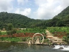 -广州市石门国家森林公园