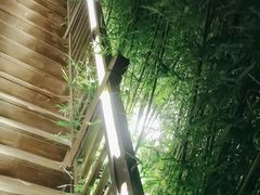 -花锦堂·隐庐