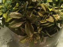 -同庆楼(花园店)